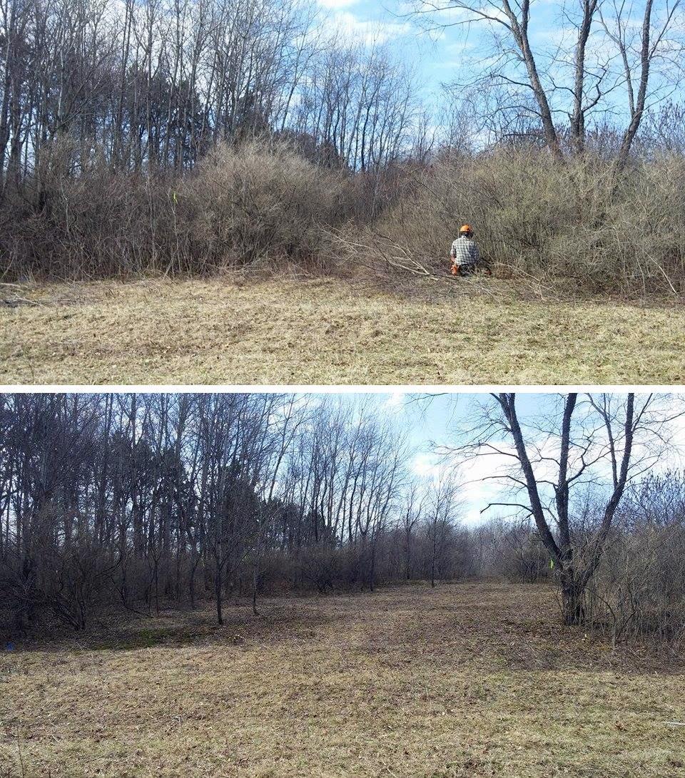 Hole 8 Before-After