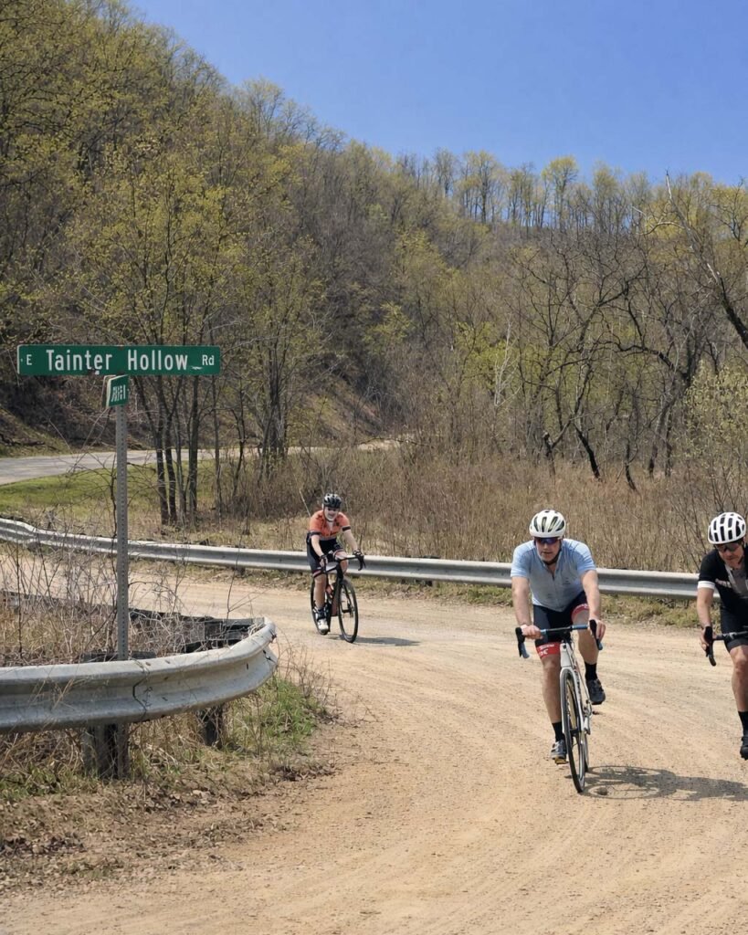 Dairy Roubaix tainter