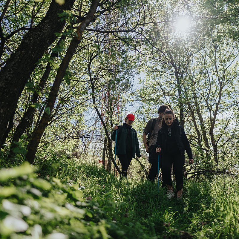 Hikers in the woods.