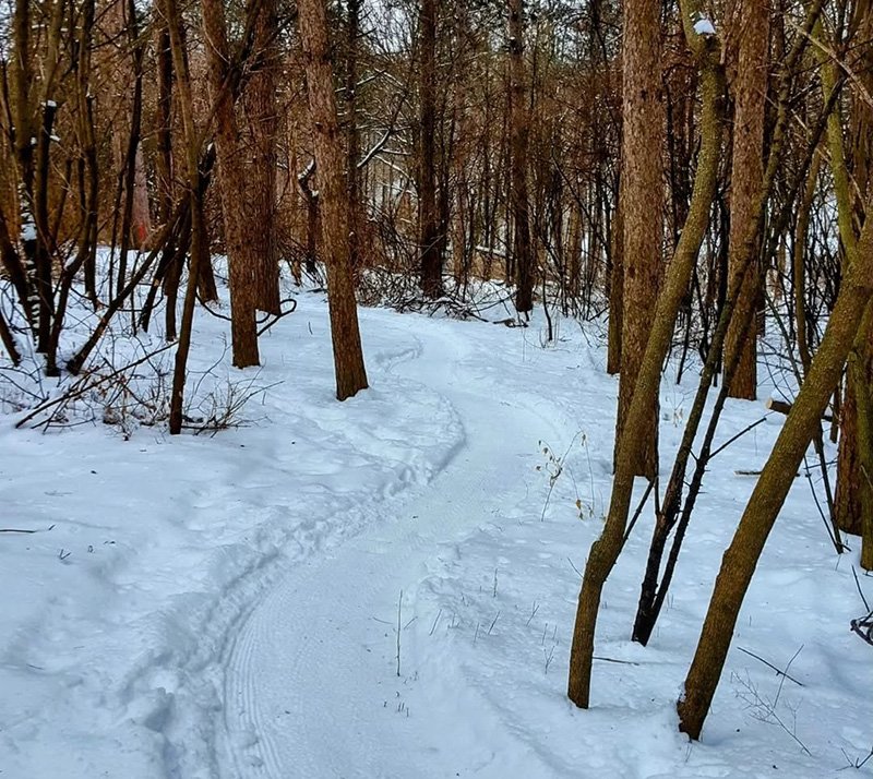 Veteran hills fat bike trail cropped