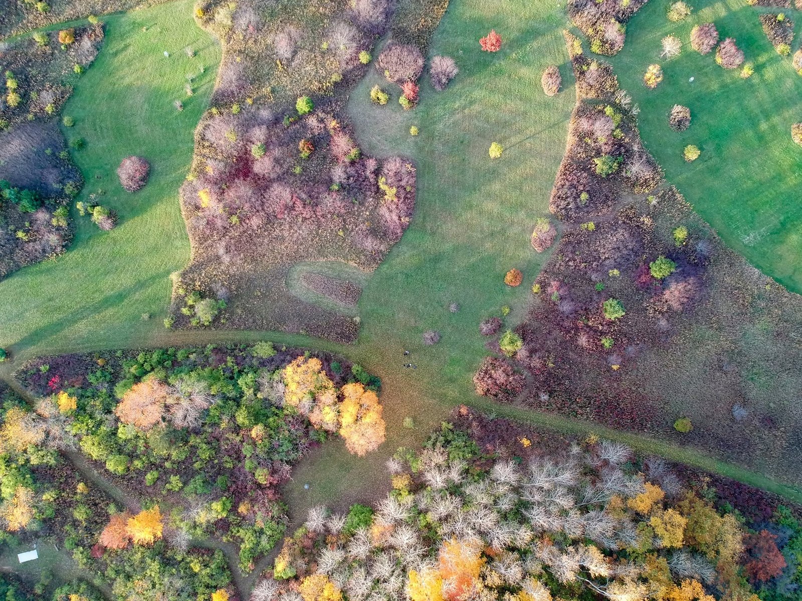 Veteran hills aerial